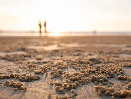 ADHD Hyperfocus Music | Flow State for Deep Productivity