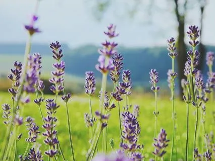 ADHD Masking : A Gentle Reset