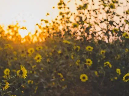ADHD Meditation With Fun Facts: Calm Your Mind (10 Min)