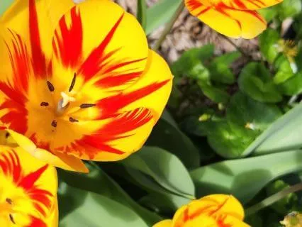 ADHD Overwhelm: 3 Ways To Get Unstuck