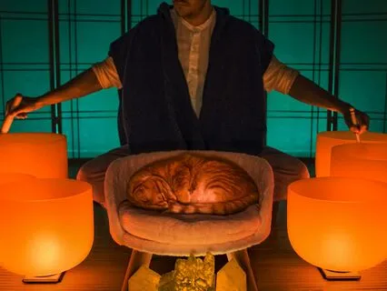 ADHD Relief Sleep Music Sound Bath