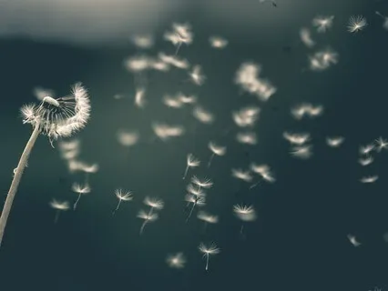 ADHD Reset For Calm And Clarity