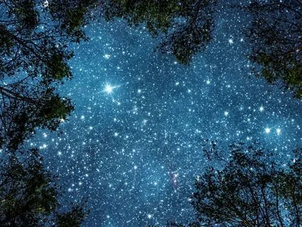 ADHD Sleep: For Tired Bodies And Busy Minds