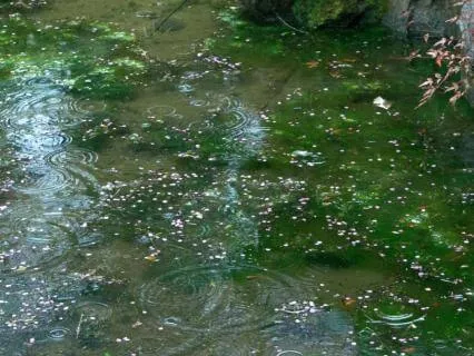 ADHD Sleep Soundscape: Rain And Brown Noise