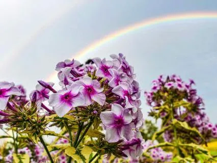 ADHD You Are Not Alone