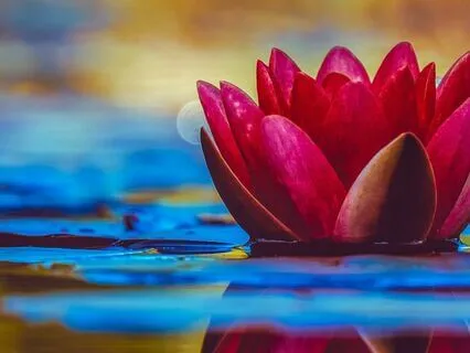 Divine Feminine - Adi Shakti Mantra 11 Day Practice