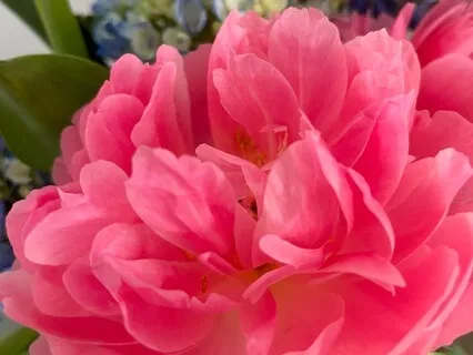 Adjusting Social Media Use