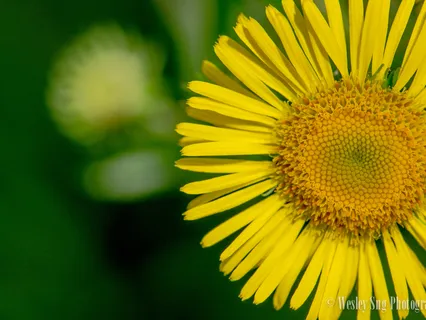 Adjustment To New School Term