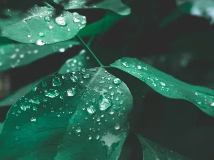 Adult Lullabies -  Reiki Healing Piano