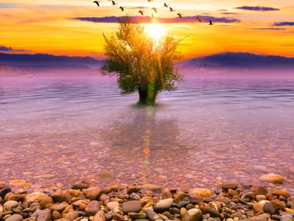 Advanced Highest Self-Healing (Belief & Value)