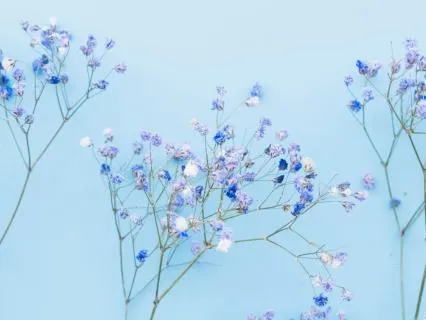 Advanced Practice Of Psychic Perception - The Inner Screen