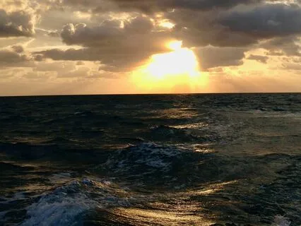 Advancing Loving Kindness - Just Practice