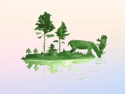 Advent: Let Us Love One Another