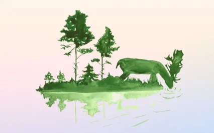 Advent: Life To The Full