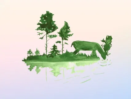 Advent: Love Celebrates Us