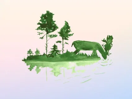 Advent: The Christmas Story