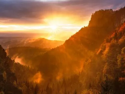 Set Your Intentions: Series On Peace