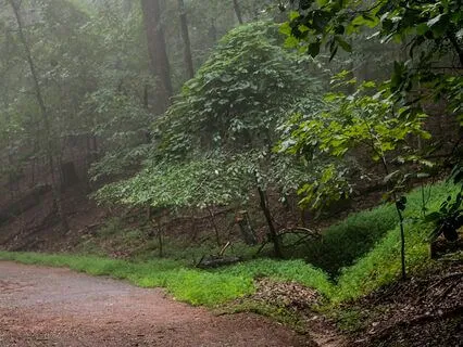 Inner Knowing: The Convergence Of Psyche And Spirit