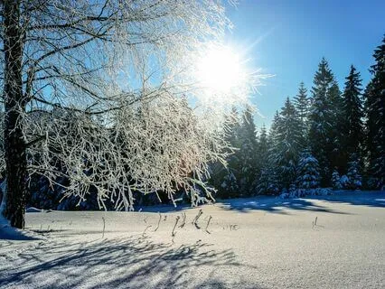 Adversity's Hidden Gifts