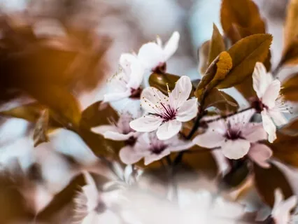 Advice For Social Anxiety