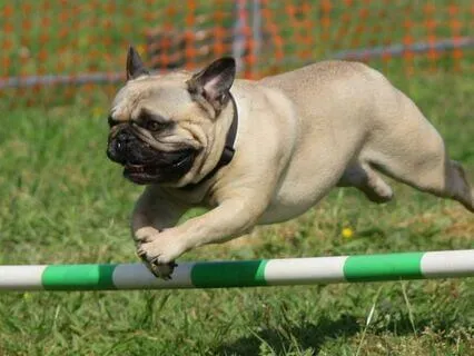 Advice To New Meditators