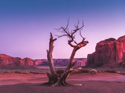 Aeolian Beats - Monochord Journey (Desert Vibe)