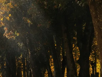 Aevyn - Lo-Fi Beats For Sleep & Relaxation