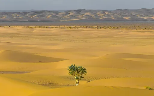 Affectionate Breathing