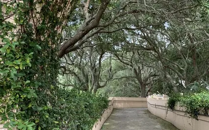 Affectionate Breathing