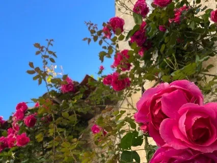 Affectionate Breathing Space