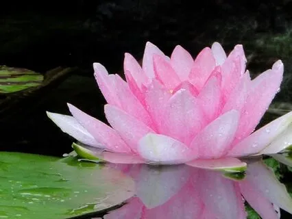 Affectionate Breathing