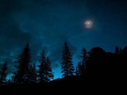 Affirmation Aria - Chorus Of Confidence