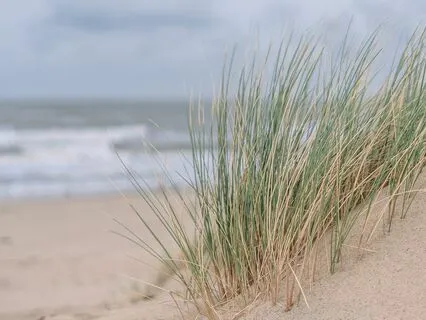 Affirmation Break: You're Going To Be OK