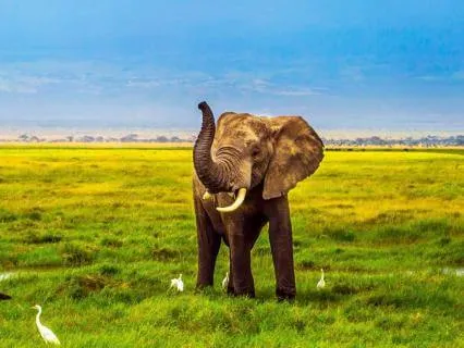 Affirmation For Purposeful Leadership