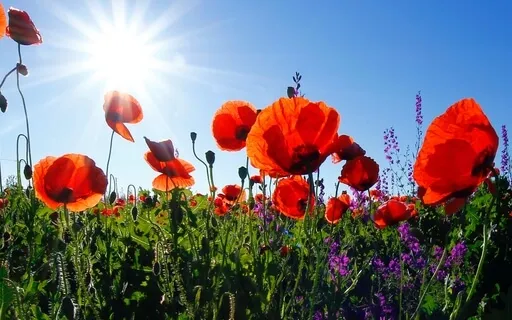 Affirmation: I Am Healing And Good Things Are Coming