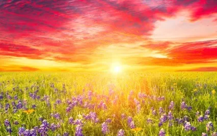 Affirmation - I Am My Own Safe Space