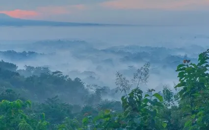 Affirmation: I Surrender To The Magical Mysteries