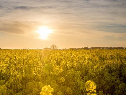 Affirmation Mantras For Solar Plexus Chakra