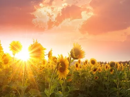 Affirmation Meditation