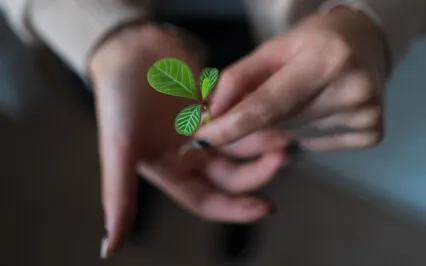 Affirmation Meditation