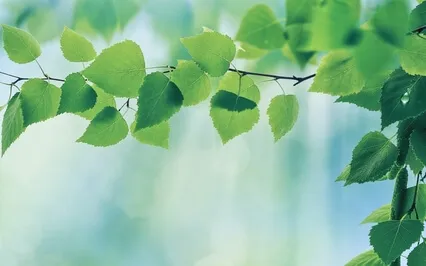 Affirmation Meditation