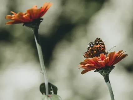 Positive Affirmations For Managing Stress & Creating Sense Of Presence