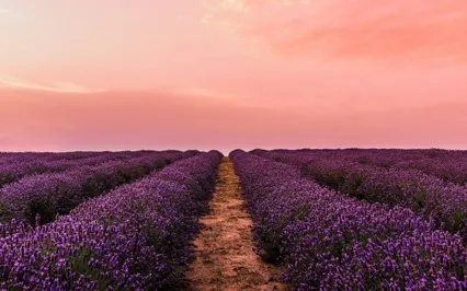 Affirmation Meditation For Abundance