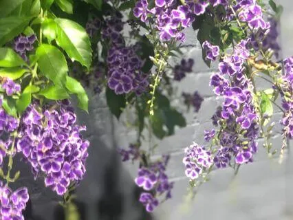 Affirmation Meditation For Sacral Harmony