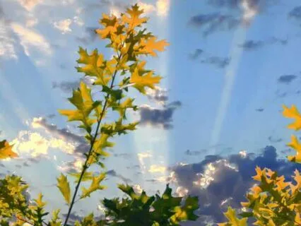 Affirmation Meditation For Self-Worth & Inner Confidence