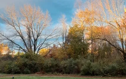 Affirmation Meditation For Test Taking