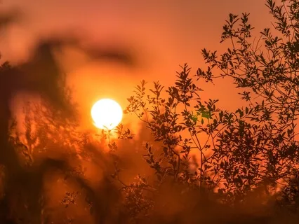 Affirmation Meditation For Trauma