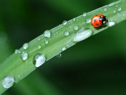 Affirmation Practice: I Am Love, I Am Peace