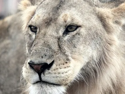 Affirmation Meditation: I Choose To Claim My Power