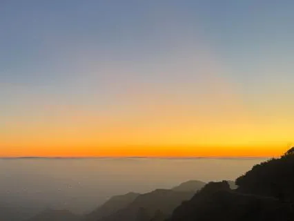 Affirmation Meditation To Let Go And Align With Divine Will